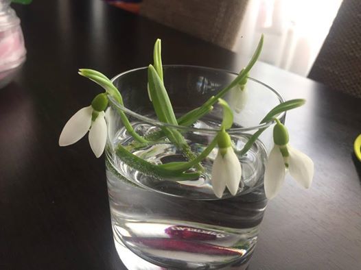 Deşi se referea la venirea primăverii, tot mai mulţi fani sunt convinşi că, în curând, Gabriela şi Tavi le vor da vestea cea mare!