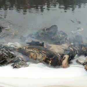 Au murit carbonizati: imagini cutremuratoare de la tragedia din Kenya