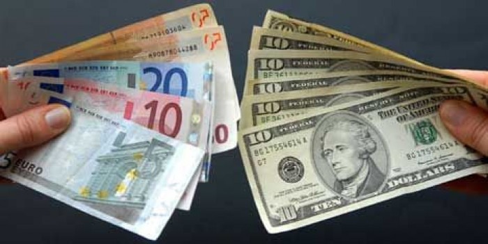 curs valutar pentru dolarul euro)