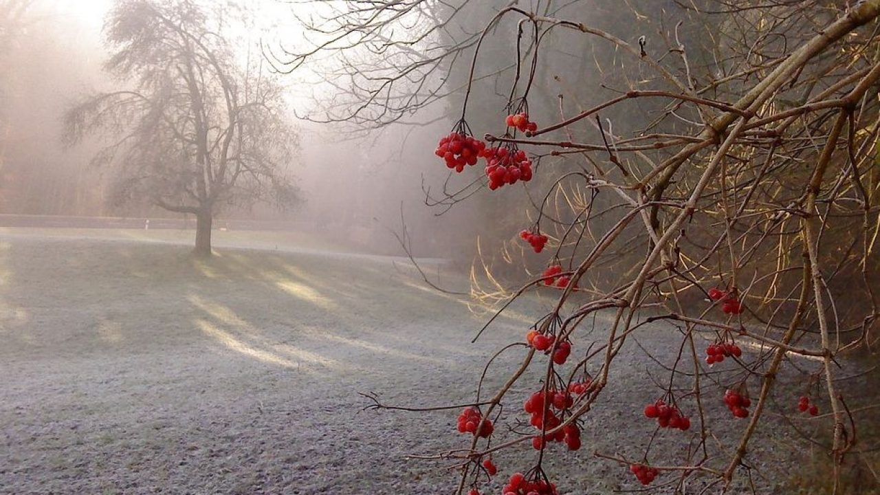 Prognoza Meteo 6 18 Noiembrie Vremea Se Schimbă Radical In