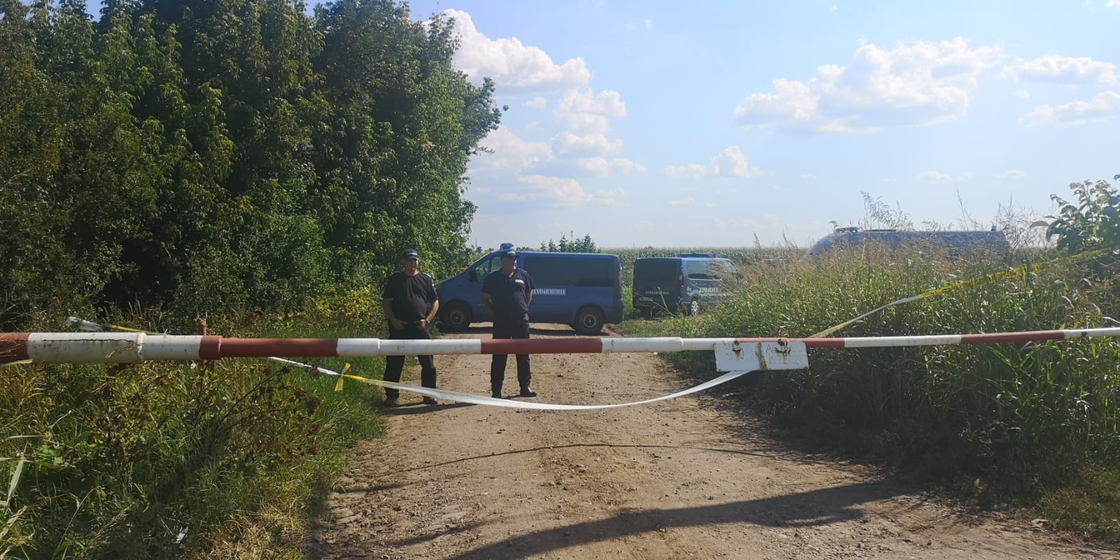 Locul unde au fost descoperite noile rămășițe