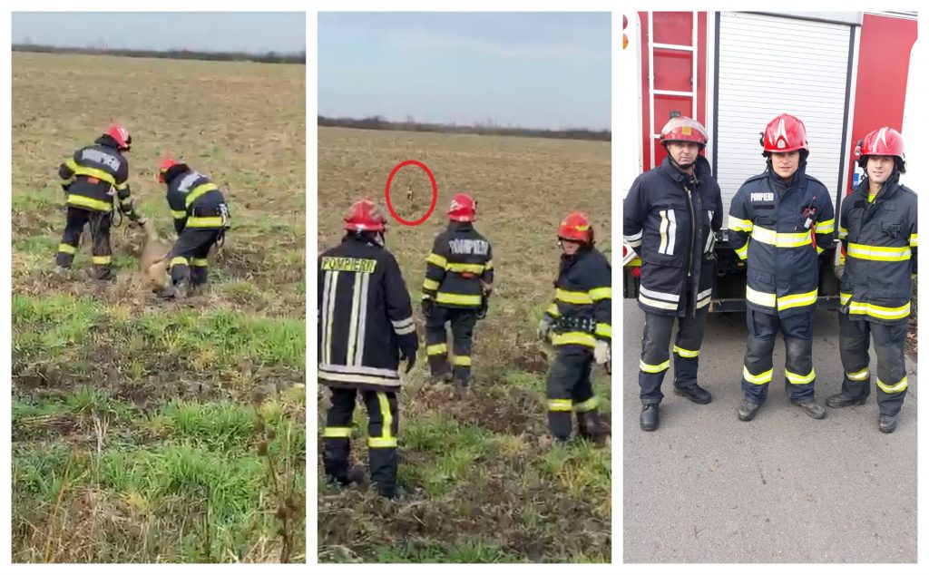 Imagini filmate în timpul misiunii de salvare a căprioarei și cei trei salvatori ai săi: plt. adj.-șef Sorin Bucșa, sergent major Adrian Tarta și plt. adj. Marius Bila © ISU Arad