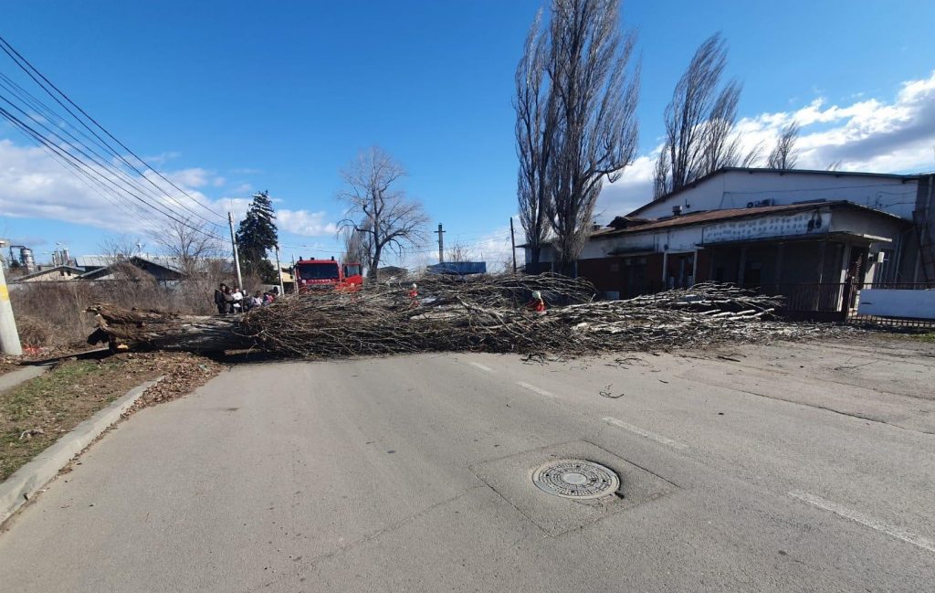 Imagine Stire Bilanțul ultimei ore de cod roșu și galben de vânt în Argeș, Prahova, Giurgiu și Dâmbovița. Acoperișuri smulse, arbori scoși din rădăcini, TIR răsturnat – VIDEO | 2review.ro