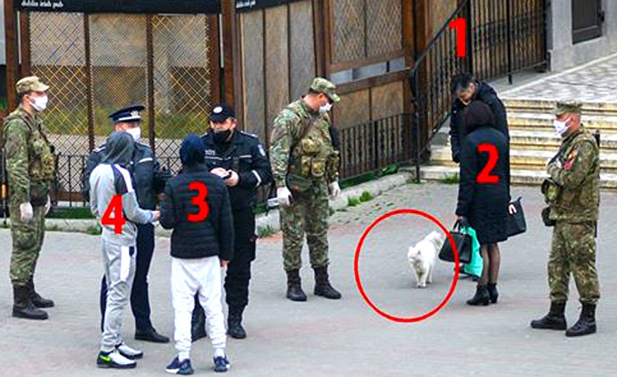 Imagine Stire Ireal! 4 oameni din Vaslui au „revendicat” același cățel, pentru a-și motiva ieșirea din casă | 2review.ro