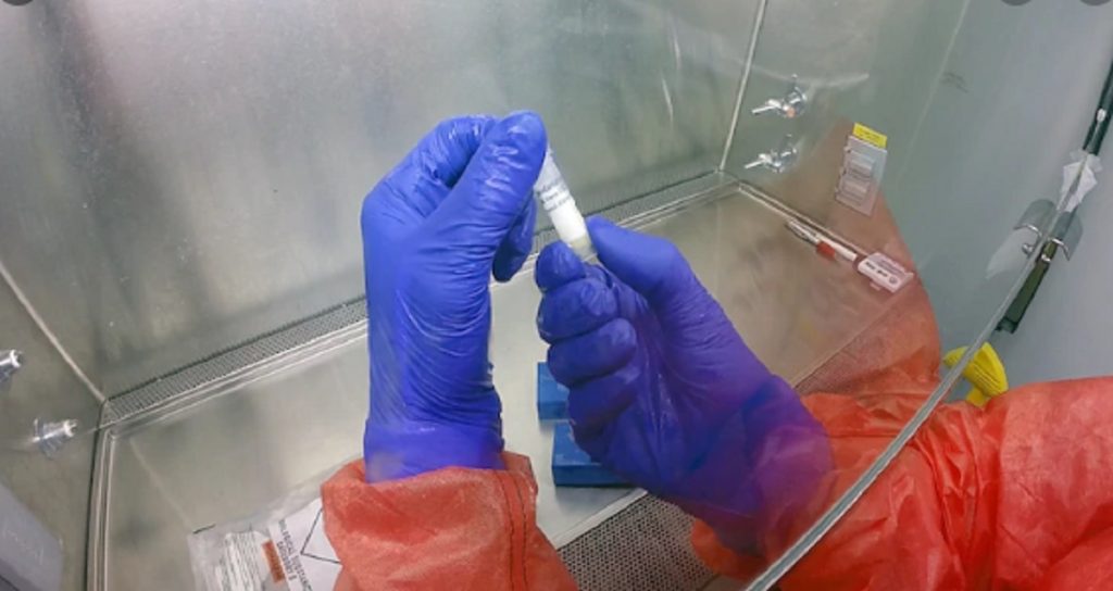 Imagine Stire Serbia a închis toate punctele de trecere a frontiere dinspre România, ca măsură de prevenţie faţă de infecţia cu coronavirus | 2review.ro