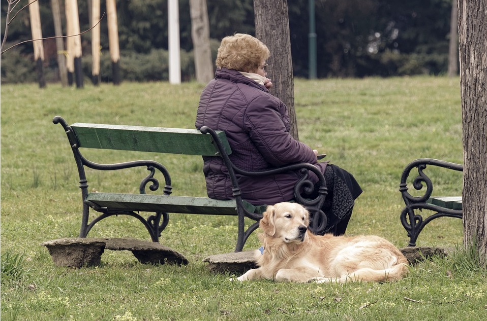 Imagine Stire Sfaturi utile pentru persoanele vârstnice în plină pandemie de coronavirus | 2review.ro