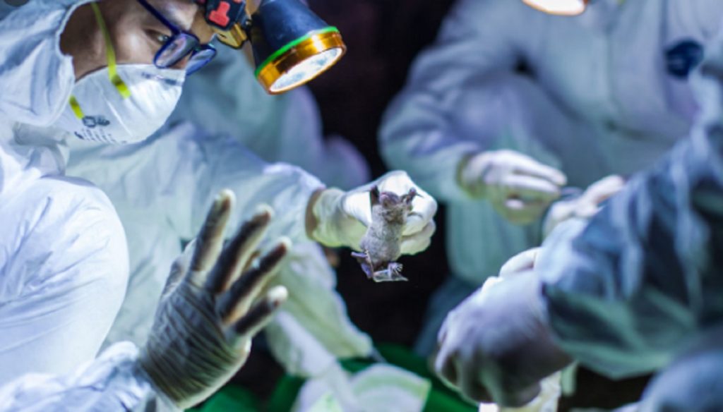 Imagine Stire Bilantul oficial. Câți români aflați în străinătate sunt infectați cu coronavirus | 2review.ro