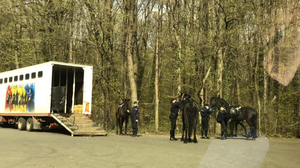 Imagine Stire Brigada călare în acțiune! Jandarmeria vrea, cu orice preț, să mențină ordinea în Pădurea Băneasa | 2review.ro