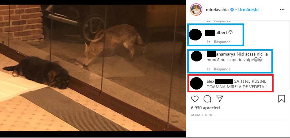 Mirela Vaida a fost criticată de unii dintre internauţi la postarea cu vulpea care a vizitat-o recent. Ei sunt supăraţi pentru că prezentatoarea o are invitată pe Veronica Stegaru, alias Vulpiţa, în platoul emisiunii de la Antena 1 © Instagram