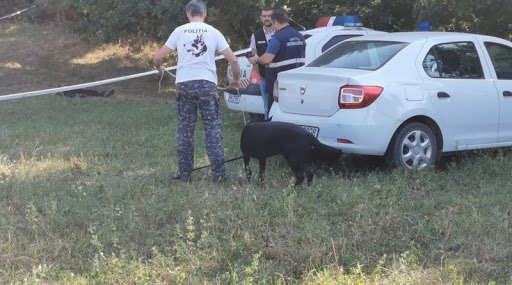 Imagine Stire Ancheta uciderii unui pădurar din Iași, de către un copil: l-a lovit cu securea în cap pentru a putea pleca cu un copac furat | 2review.ro