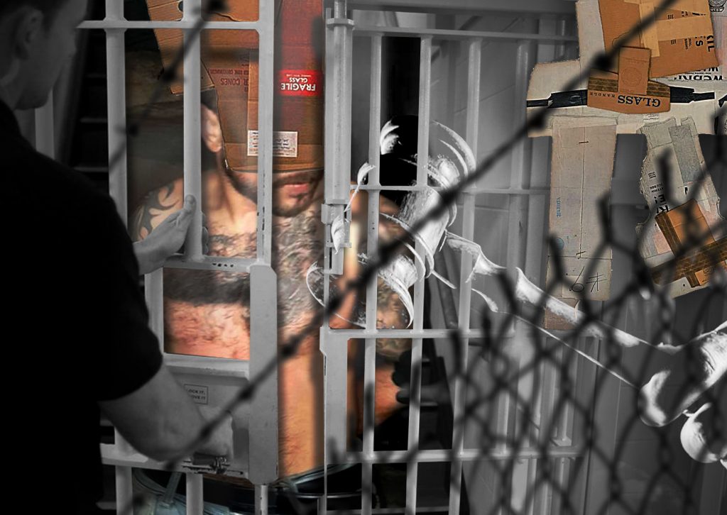Imagine Stire Cum a scăpat un hoț român de extrădare în Italia. „Este de notorietate…” | 2review.ro