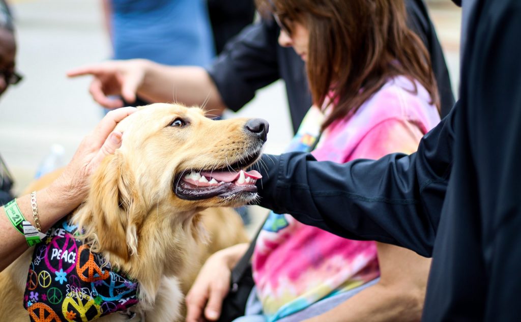 Imagine Stire Medicii veterinari avertizează: ”Dacă sunt infectați cu noul coronavirus, nu interacționați cu animalele de companie”. Care este specia cea mai vulnerabilă | 2review.ro