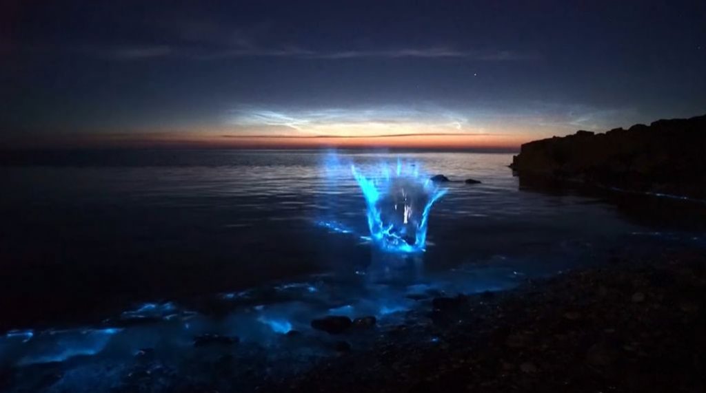 Imagine Stire Cel mai spectaculos fenomen natural al Paștelui. Cum arată apa mării când ia foc. VIDEO | 2review.ro