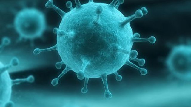 Imagine Stire Anunțul care ne dă fiori: Noul tip de coronavirus este de 10 ori mai letal! | 2review.ro