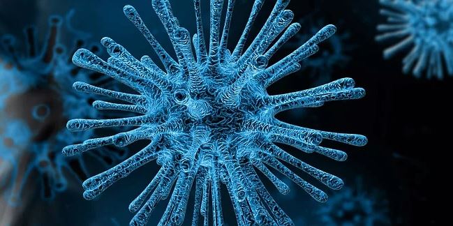 Imagine Stire S-a modificat bilanțul deceselor provocate de coronavirus în România. Informații oficiale despre cei care au fost răpuși de dușmanul invizibil | 2review.ro
