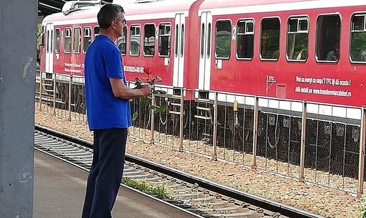 Imagine Stire Întâmplare emoționantă în plină pandemie. Un ieșean a urmărit un bărbat care ținea un trandafir în mână, iar apoi a avut parte de o mare surpriză: ”Nu păreau deloc avuți, dar am avut sentimentul că…” | 2review.ro
