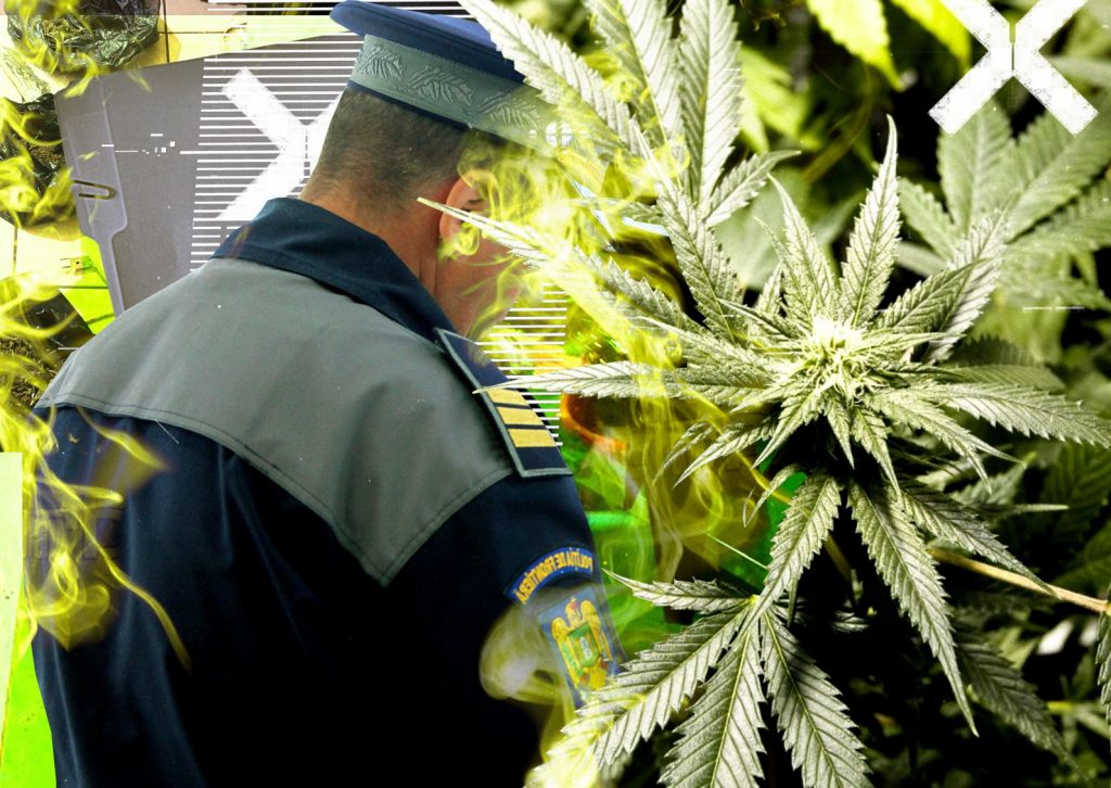 Imagine Stire Cum a „căzut” un polițist de frontieră din Satu Mare într-un dosar de trafic de droguri. Totul a pornit de la sesizările vecinilor. „Miroase puternic a «iarbă» și se aude…” | 2review.ro