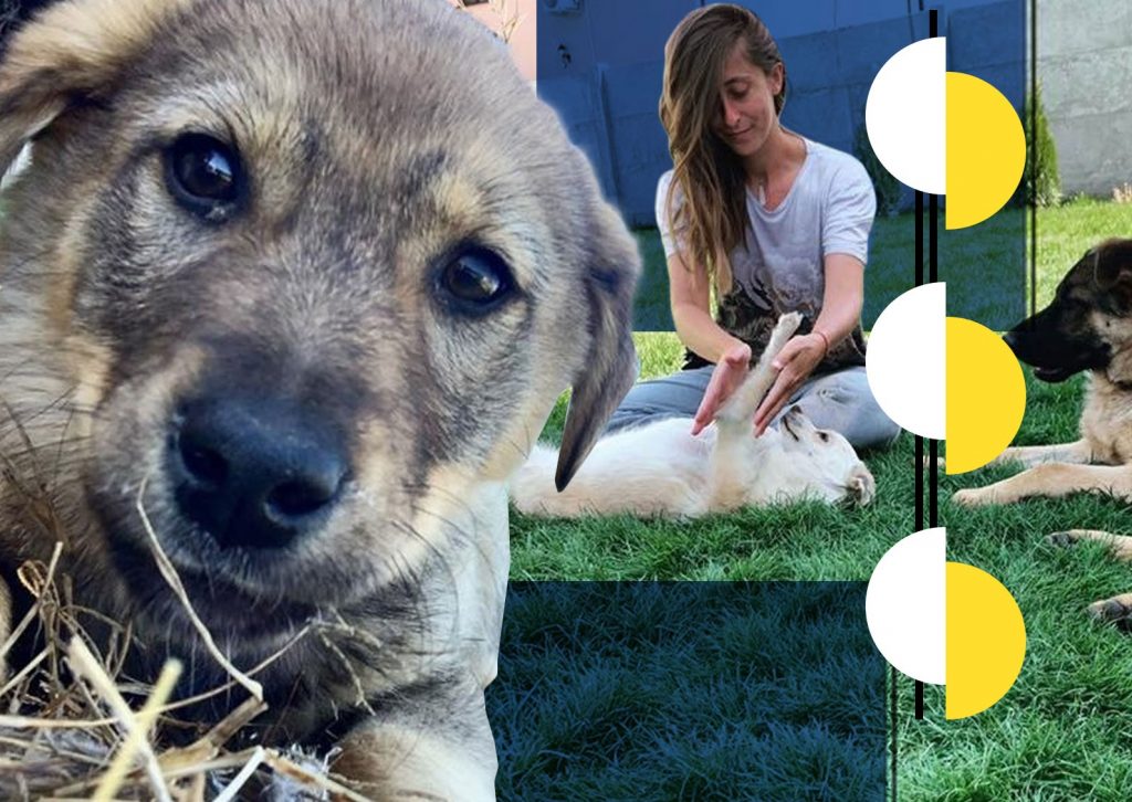 Cum aplică o tânără din Craiova terapia Reiki pe animalele de companie. „Când un câine îți linge mâna, el…”