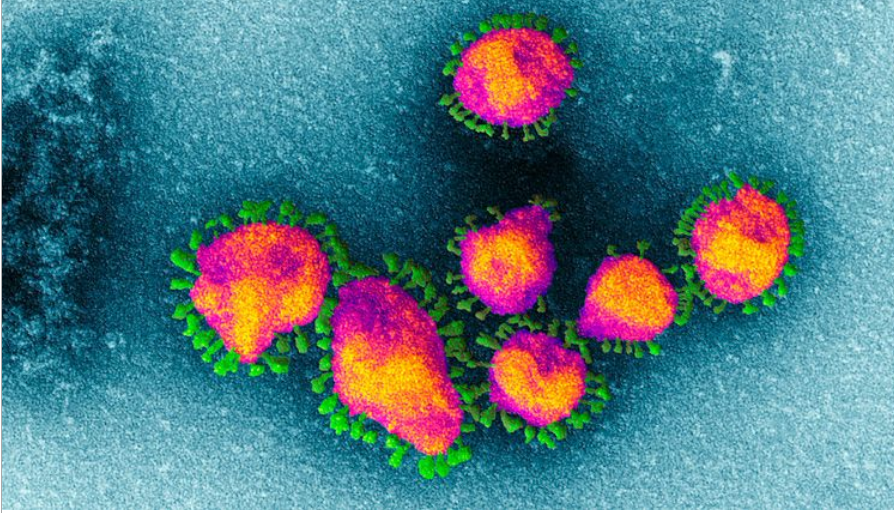 Studiu: Cât timp rezistă coronavirusul în corpul pacienților decedați