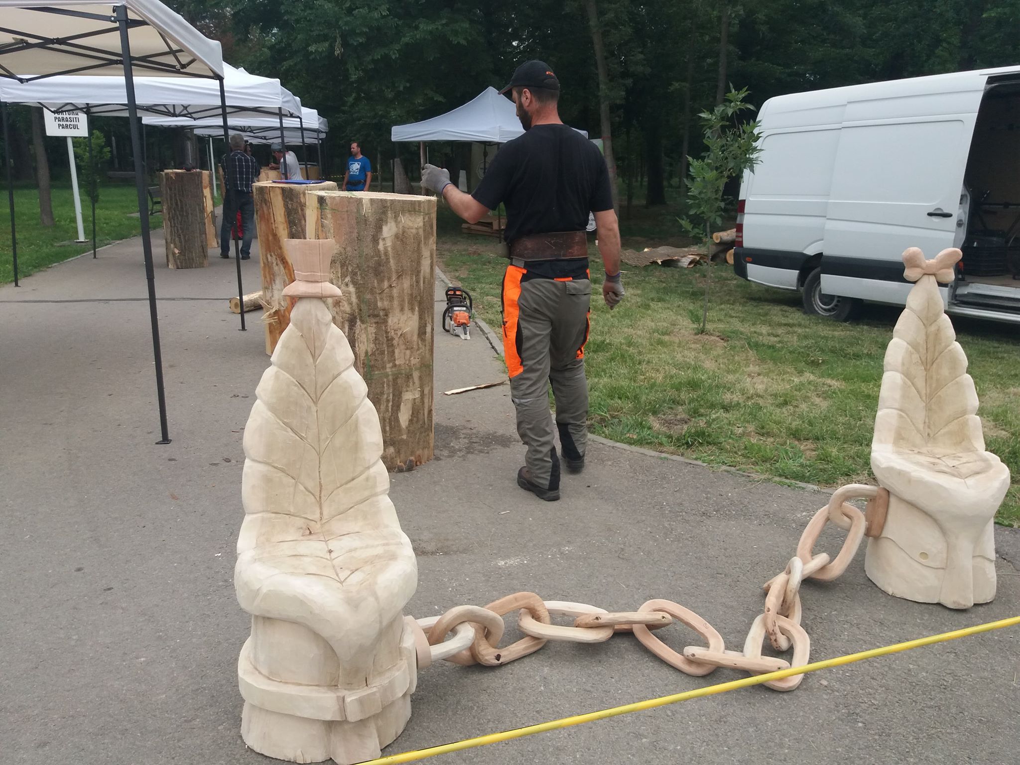 Operele realizate cu drujba în parcul din Craiova prind contur