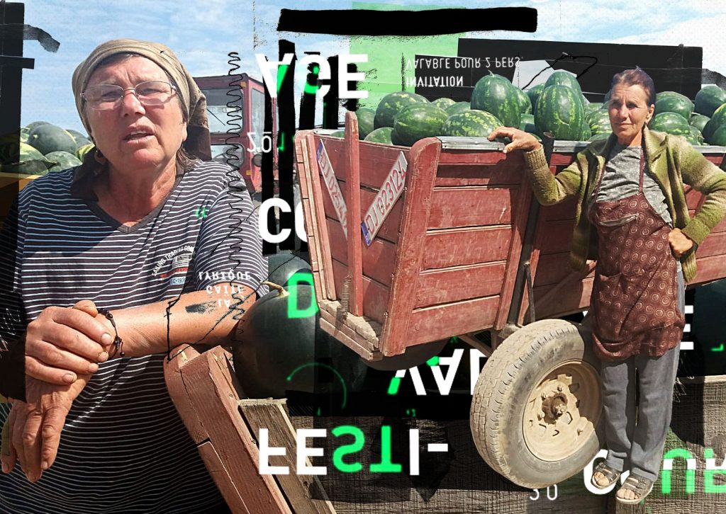 Imagine Stire Cultivatorii din Dăbuleni au ajuns să vândă celebrii pepeni la prețuri de nimic. „Pentru noi, ţăranii, munca e de ocnaş…” | 2review.ro