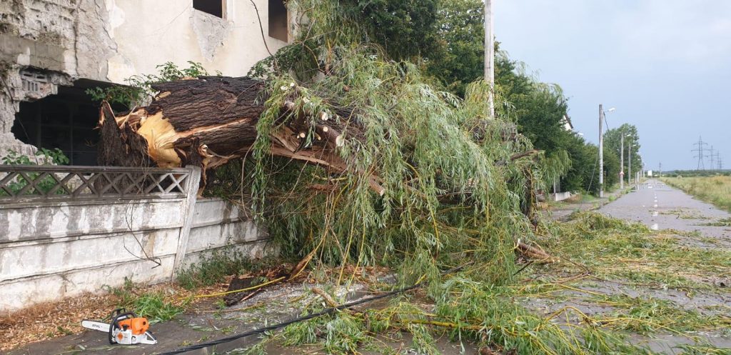 Furtună puternică în Tulcea. Pomii au căzut peste mai multe mașini staționate. FOTO