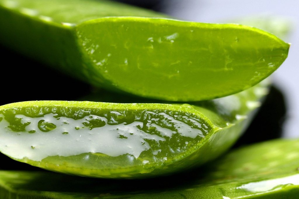 Imagine Stire Te-a ars soarele? Aloe Vera, cel mai bun remediu împotriva arsurilor de la plajă. Iată cum se foloseşte | 2review.ro