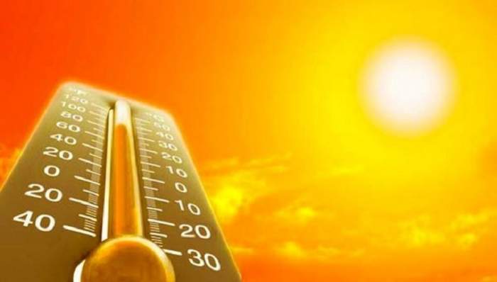 Imagine Stire 49.5 grade Celsius în Canada, un nou record. Canicula a ucis zeci de oameni în ultimele 48 de ore | 2review.ro