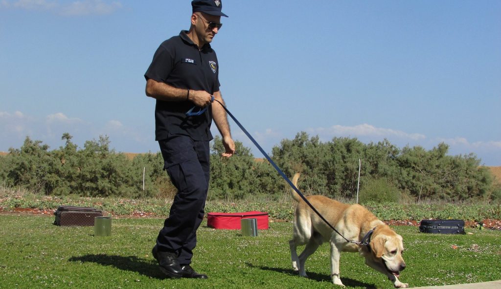 Imagine Stire Armata germană antrenează câini pentru a detecta persoanele infectate cu coronavirus | 2review.ro