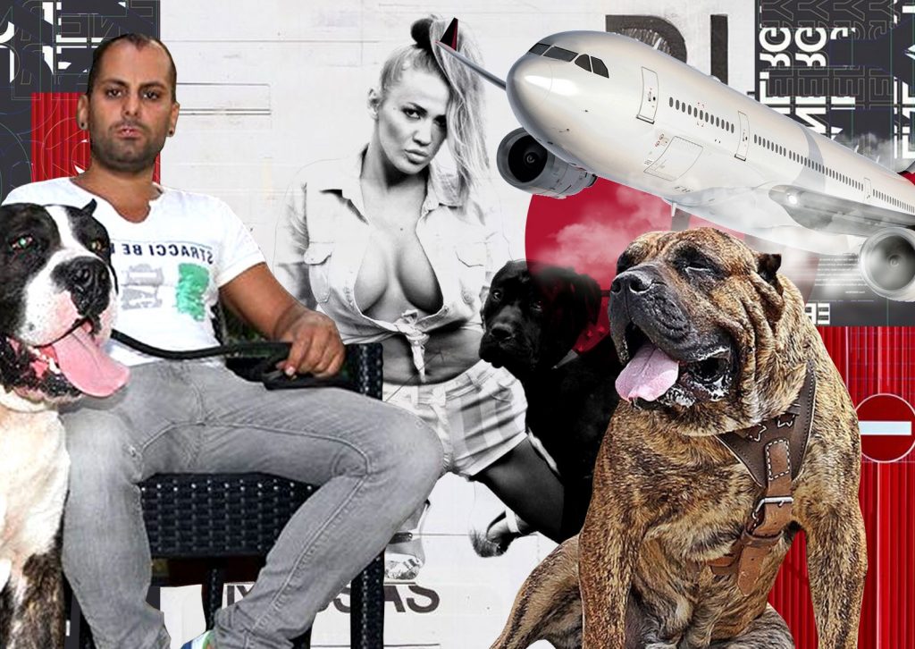 Imagine Stire “Regele filmelor pentru adulți”, mega-proces  pentru că nu a fost lăsat să urce cu câinele în avion. Cere daune de… | 2review.ro