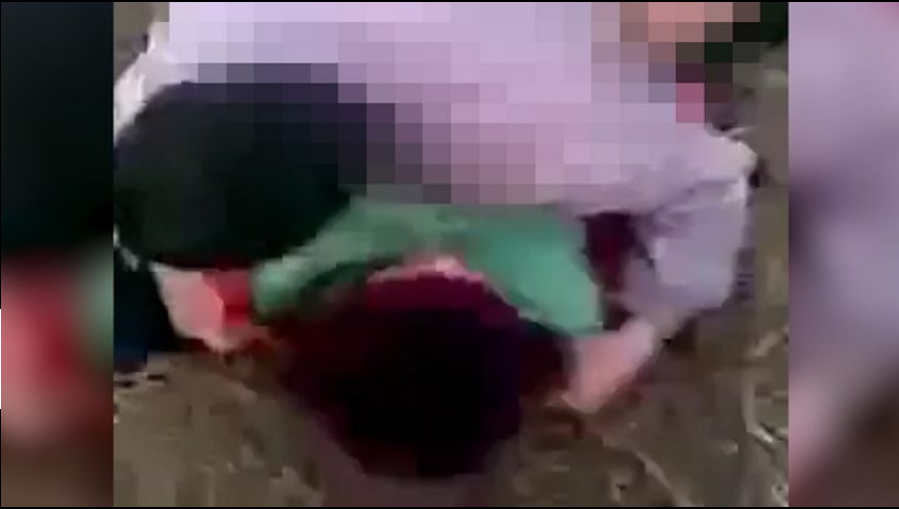Imagine Stire Vulpița e disperată! Vin vremuri grele pentru ea: ”Ce am pățit la…” Asta nu-i nimic | 2review.ro