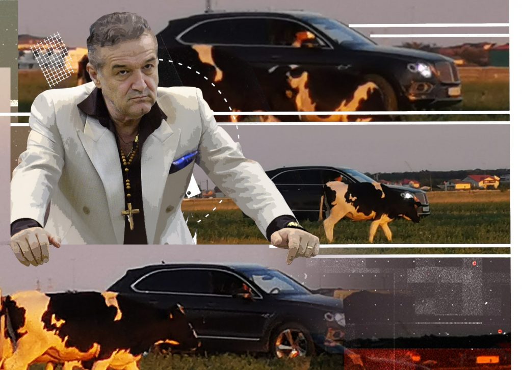 Imagine Stire Uite-l pe Gigi Becali cum supervizează vacile pe miriște din Bentley-ul de 250.000 €, deși are cioban! | 2review.ro