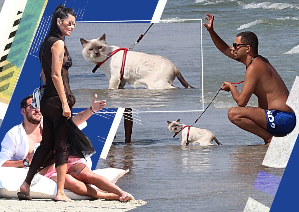 Imagine Stire Oana Zăvoranu și-a scos pisicuța pe plaja din Mamaia | 2review.ro
