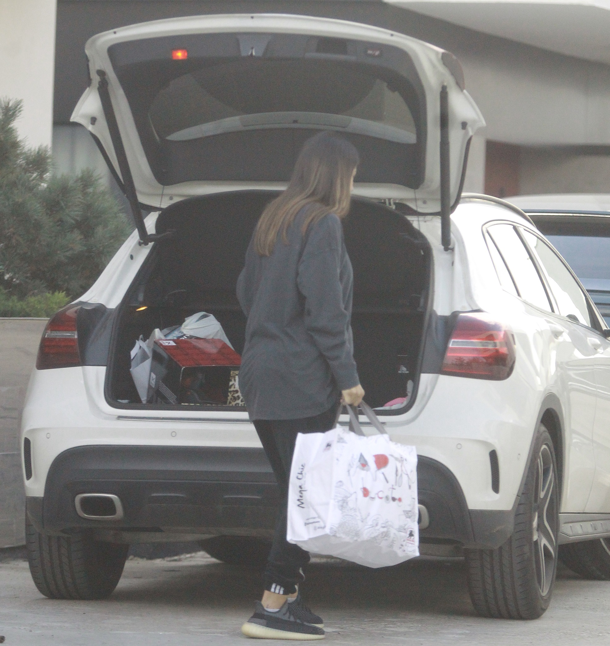 Diana a făcut aprovizionarea, de la un Mega din apropiere