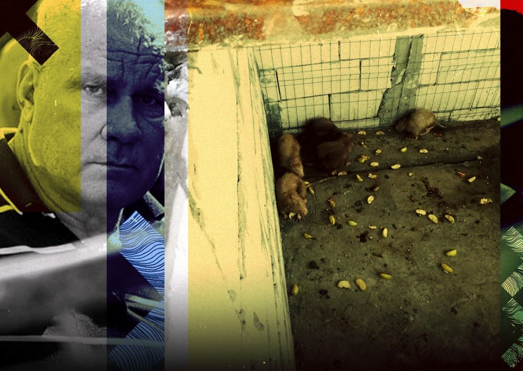 Imagine Stire Ce veste cruntă primește monstrul din Caracal în închisoare. Nu toate animalele salvate din “Casa Groazei” au avut o soartă fericită | 2review.ro