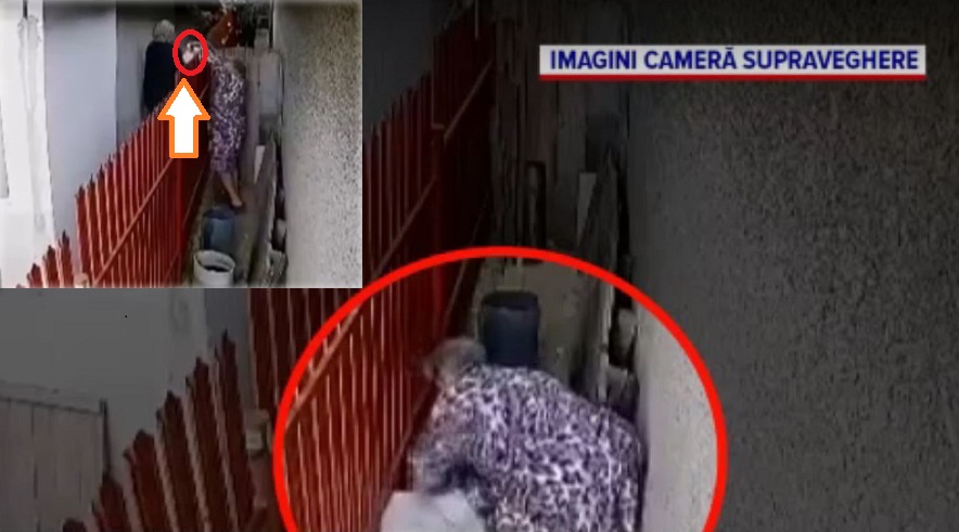 Imagine Stire Cățel răpit în Galați! Două pensionare n-au mai suportat lătratul lui! | 2review.ro