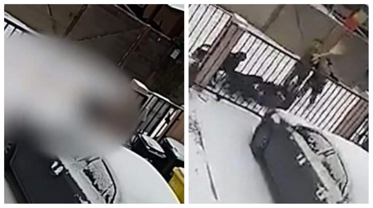 VIDEO șocant. Femeie din Suceava, atacată în plină stradă de patru câini Rottweiler. A ajuns la spital în stare gravă