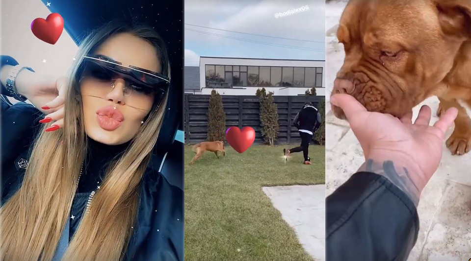 Daria Radionova și Alex Bodi, fericiți în Ajun de Crăciun! Cum s-au filmat cei doi iubiți în curtea vilei din Tunari și cum au împodobit locuința luxoasă | FOTO & VIDEO