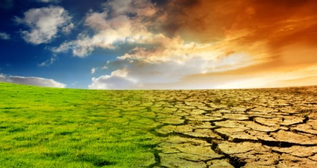 2021, unul dintre cei mai fierbinți ani! Al șaptelea an consecutiv cu temperaturi ridicate
