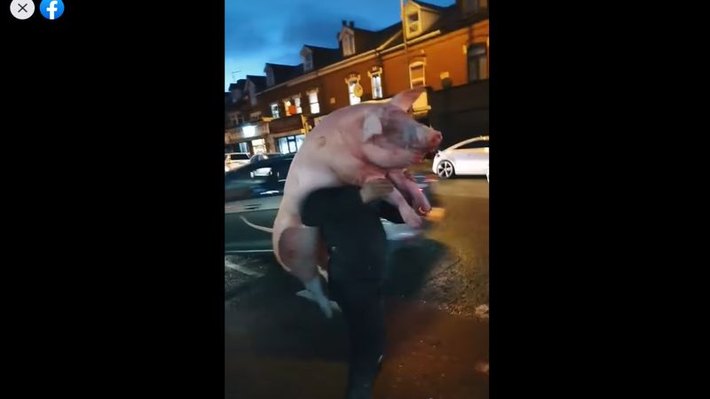 Imagini virale! Trei români au „plimbat” în spate prin Londra. VIDEO