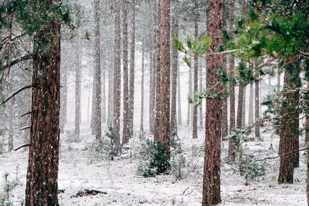 Cum va fi vremea pe 8 decembrie. Anunțul important al ANM: Temperaturile scad și va ninge