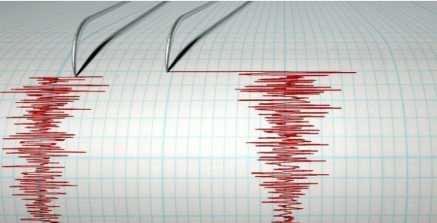 Un cutremur cu magnitudinea 6,5 s-a produs în nord-estul Japoniei