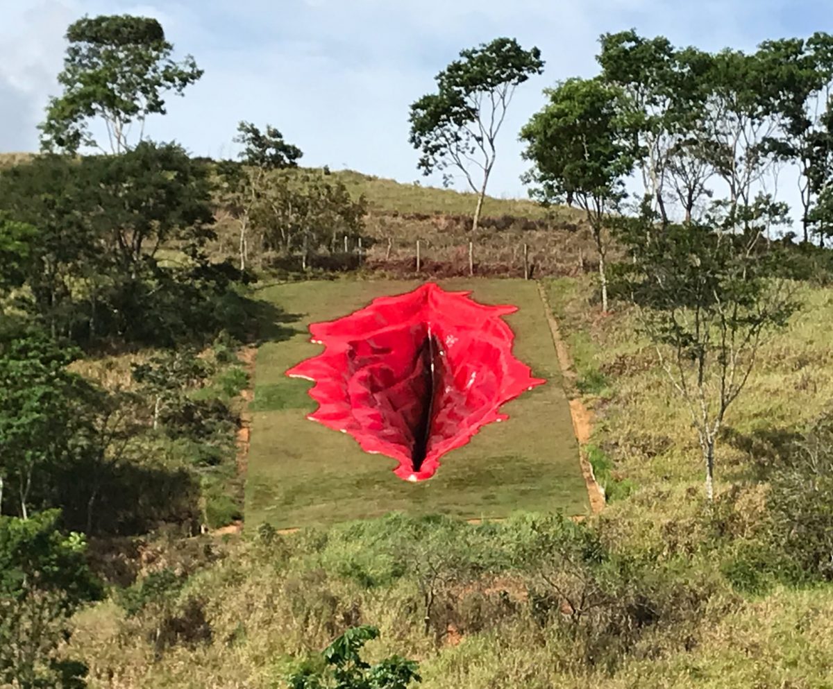 O sculptură imensă în formă de vagin a iscat un adevărat război cultural în Brazilia
