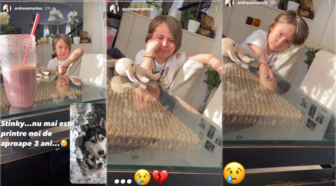 David i-a cerut mamei sale să îl sune pe Klaus Iohannis și să-i spună să îl aducă înapoi pe Stinky, patrupedul care a murit în 2018 © Instagram Stories