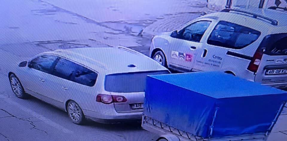 Intervenție de salvare neobișnuită a polițiștilor din Sebeș. Un porc evadat dintr-o remorcă, în trafic, a fost returnat stăpânului