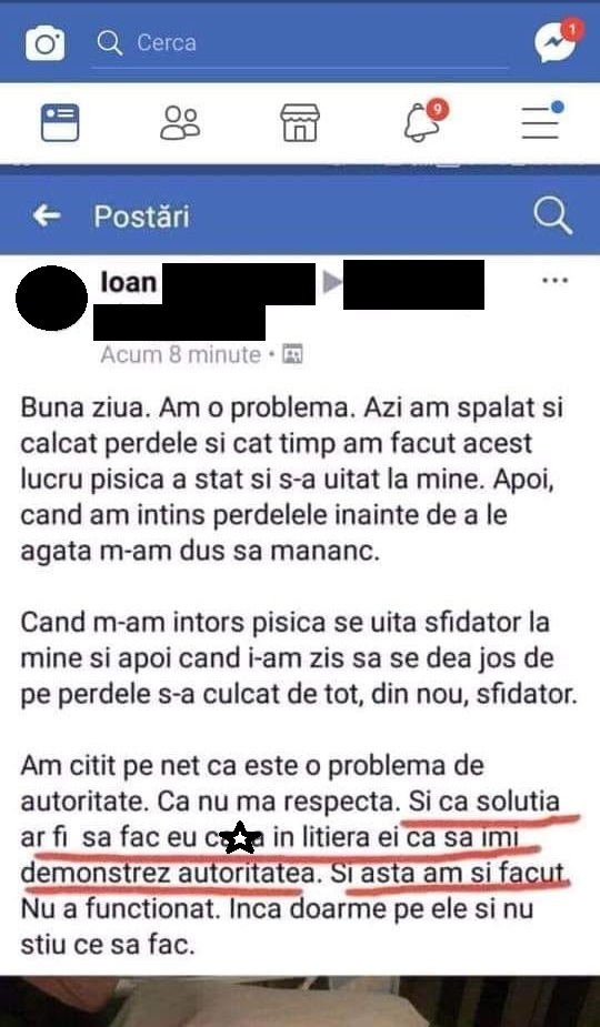 Gestul stupefiant făcut de stăpânul unei pisici, după ce aceasta nu i-a ascultat comenzile: “Am făcut c@#@ în litiera ei” © Facebook