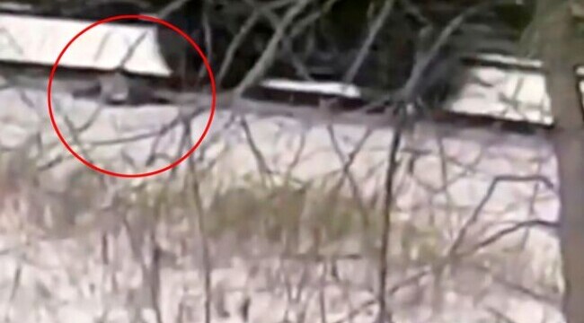 Caz șocant! Un băiețele de 11 ani a rămas fără picioare, după ce a căzut de pe un tren aflat în mișcare