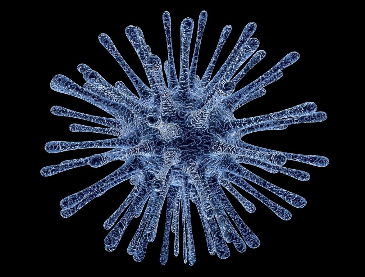 Numărul de români care și-au pierdut viața, în ultimele 24 de ore, din cauza noului coronavirus