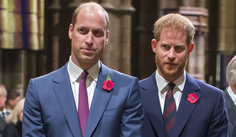 Prințul William este supărat pe fratele lui. Ce declarație a Prințului Harry i s-a părut jignitoare