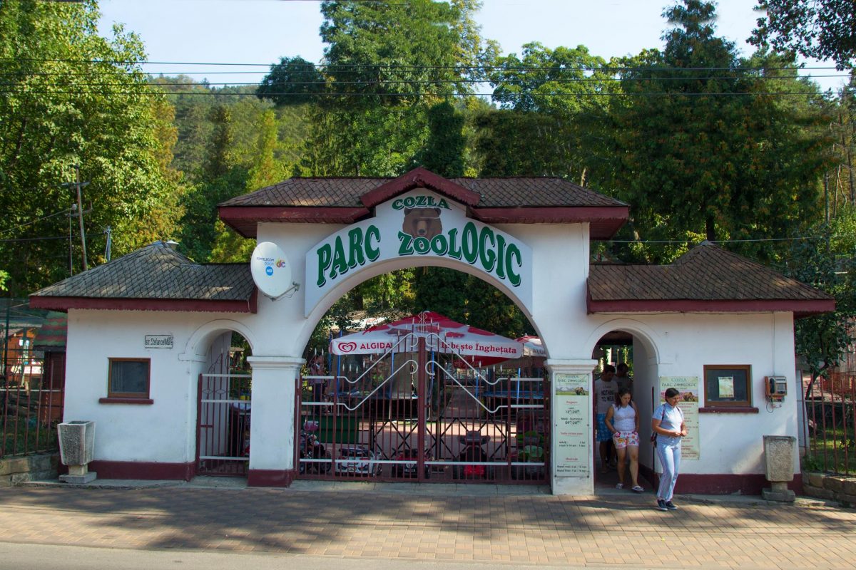 Grădina Zoologică din Piatra Neamț se va desființa. Ce spun locuitorii orașului